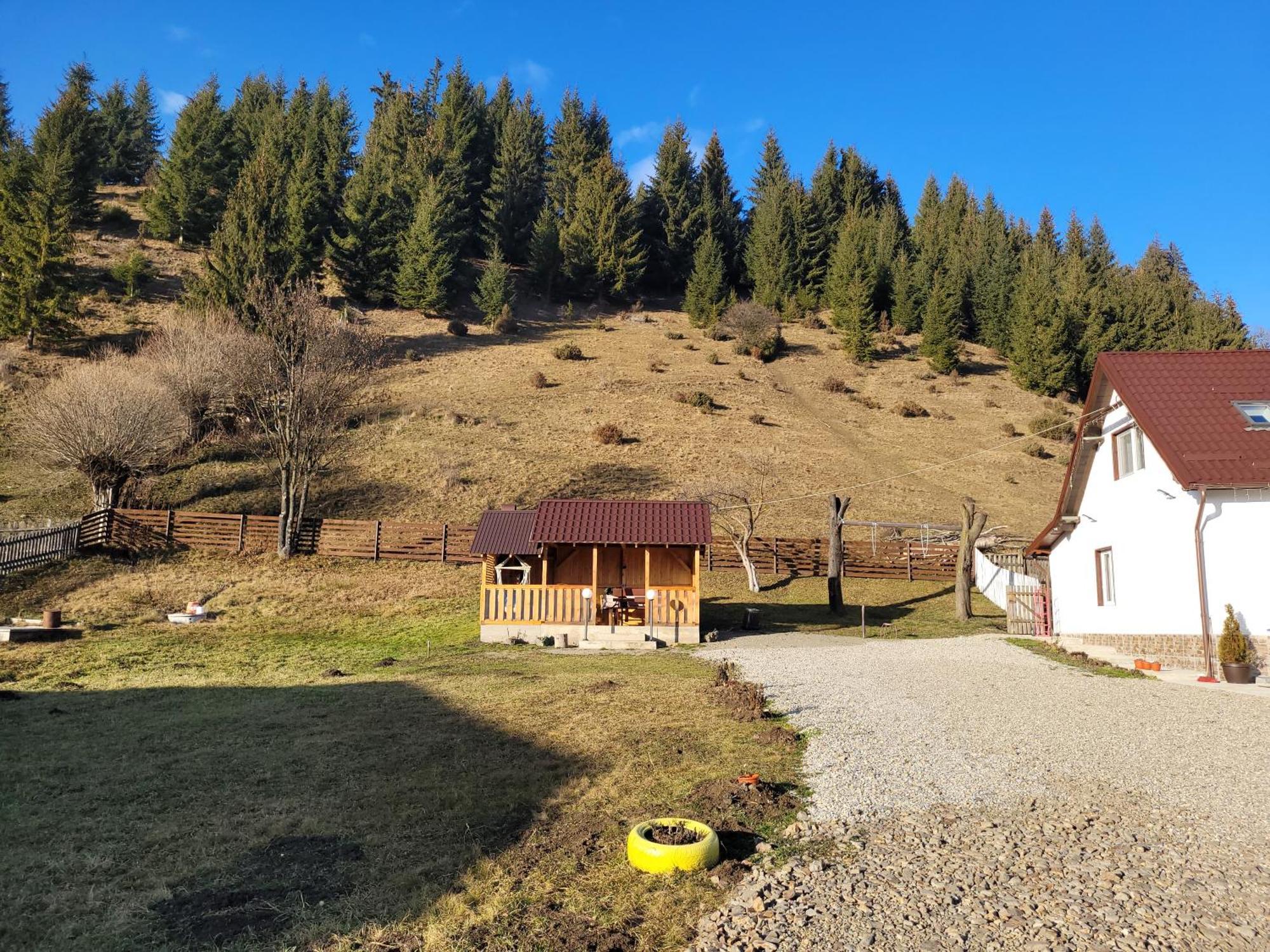 Casa Abp Villa Vatra Dornei Eksteriør bilde