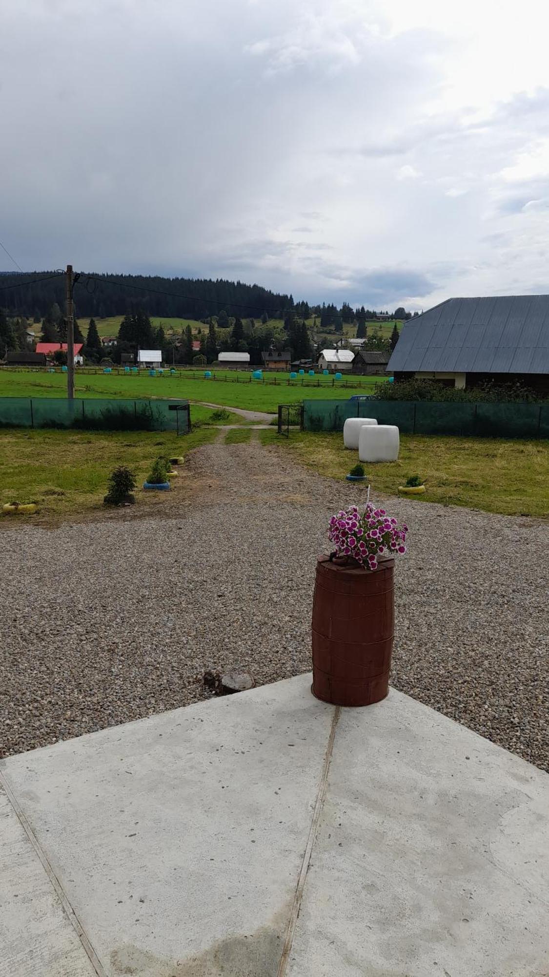 Casa Abp Villa Vatra Dornei Eksteriør bilde